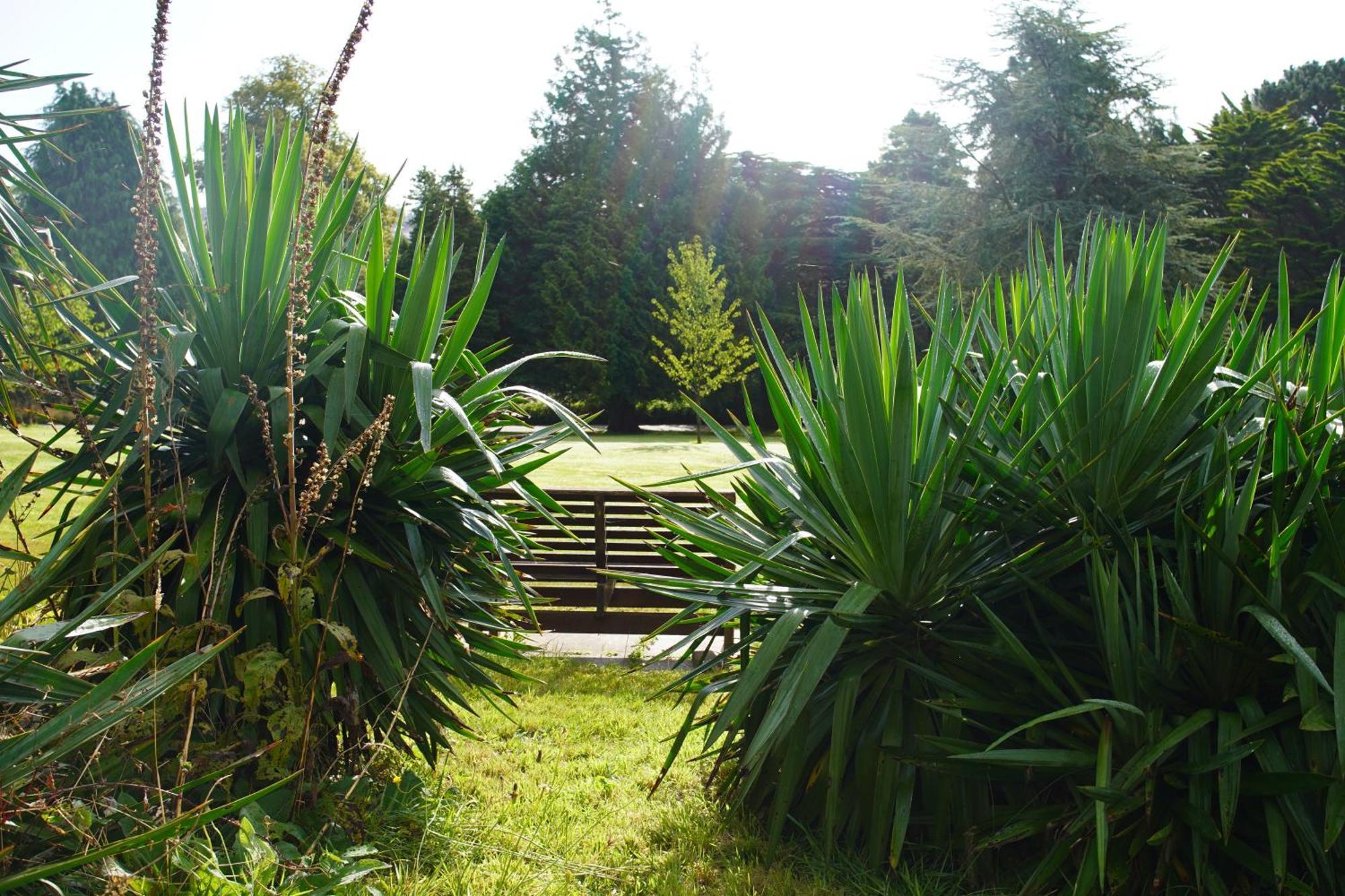 Epiphany House Truro Dış mekan fotoğraf